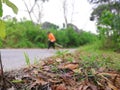 Asian woman is sweeping leaves