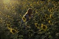 Asian Woman Take Photo With Her Smartphone On Sunset. Happy And Relax Holiday Travel In Sunflower Field