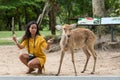 Asian woman teasing with Eld`s deer for taking photo Royalty Free Stock Photo
