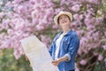 Asian woman tourist holding city map while walking in the park at cherry blossom tree during spring sakura flower festival concept Royalty Free Stock Photo