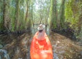 Asian woman, a tourist, paddling a boat, canoe or kayak with trees in Rayong Botanical Garden, Paper Bark Tropical Forest in Royalty Free Stock Photo