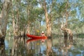 Asian woman, a tourist, paddling a boat, canoe or kayak with trees in Rayong Botanical Garden, Paper Bark Tropical Forest in Royalty Free Stock Photo