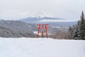 Asian woman tourist travel at Red Japanese Torii pole, Fuji mountain and snow in Kawaguchiko, Japan. Forest trees nature landscape Royalty Free Stock Photo