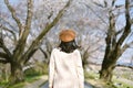 Asian woman traveler sightseeing sakura cherry blossoms in spring season.