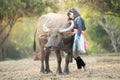 Asian woman in tribe dress with water buffalo in farm,friendship concept Royalty Free Stock Photo