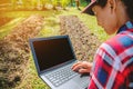 Asian woman using digital tablet in the cultivation of vegetable. modern technology application in agricultural growing activity