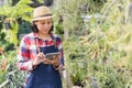 Asian woman is using a tablet to check the vegetation in the Ornamental plant shop, Small business concept Royalty Free Stock Photo