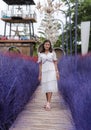 Asian woman walking on wooden bridge between colorful purple dry grass, autumn garden Royalty Free Stock Photo