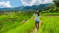 Asian woman watching the Terraced Rice Field in Chiangmai, Royal Project Khun Pae Northern Thailand