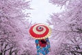 Asian woman wearing japanese traditional kimono and cherry blossom in spring, Japan.