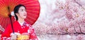 Asian woman wearing japanese traditional kimono and cherry blossom in spring, Japan Royalty Free Stock Photo