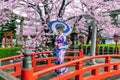 Asian woman wearing japanese traditional kimono and cherry blossom in spring, Kyoto temple in Japan Royalty Free Stock Photo