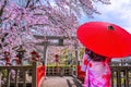 Asian woman wearing japanese traditional kimono and cherry blossom in spring, Kyoto temple in Japan Royalty Free Stock Photo