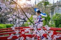 Asian woman wearing japanese traditional kimono and cherry blossom in spring, Kyoto temple in Japan Royalty Free Stock Photo