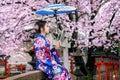 Asian woman wearing japanese traditional kimono and cherry blossom in spring, Kyoto temple in Japan Royalty Free Stock Photo