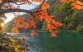 An Asian woman wearing Japanese traditional kimono with red umbrella standing with red maple leaves or fall foliage at Arashiyama Royalty Free Stock Photo