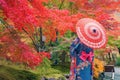 An Asian woman wearing Japanese traditional kimono with red umbrella standing with Red maple leaves or fall foliage in Autumn Royalty Free Stock Photo