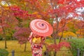 An Asian woman wearing Japanese traditional kimono with red umbrella standing with Red maple leaves or fall foliage in Autumn Royalty Free Stock Photo