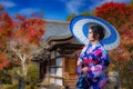 Asian woman wearing kimono in autumn,Japan