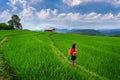 Asian woman wearing thai culture traditional at rice terrace of Ban pa bong piang in Chiang mai, Thailand Royalty Free Stock Photo