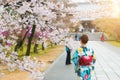 Asian woman wearing traditional japanese kimono in sakura garden in temple Kyoto, Japan