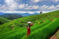 Asian woman wearing Vietnam culture traditional at rice terrace of Ban pa bong piang in Chiangmai, Thailand Royalty Free Stock Photo