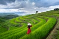 Asian woman wearing Vietnam culture traditional at rice terrace of Ban pa bong piang in Chiangmai, Thailand Royalty Free Stock Photo