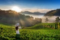 Asian woman wearing Vietnam culture traditional in strawberry garden on Doi Ang Khang , Chiang Mai, Thailand. Royalty Free Stock Photo