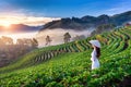 Asian woman wearing Vietnam culture traditional in strawberry garden on Doi Ang Khang , Chiang Mai, Thailand. Royalty Free Stock Photo