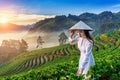 Asian woman wearing Vietnam culture traditional in strawberry garden at sunrise.