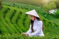 Asian woman wearing Vietnam culture traditional in tea plantation Royalty Free Stock Photo