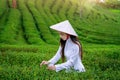Asian woman wearing Vietnam culture traditional in tea plantation Royalty Free Stock Photo
