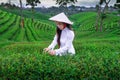 Asian woman wearing Vietnam culture traditions in Choui Fong Tea Farm Chiangrai, Thailand