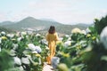 Beautiful Asian Woman in yellow dress walk in The Hydrangea Flowers Garden. Royalty Free Stock Photo