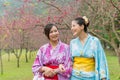 Women chat together under the cherry blossom tree