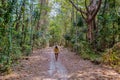 Asian women with a hat walking in the rainforest hiking in the jungle in Thailand Krabi