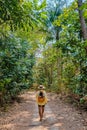 Asian women with a hat walking in the rainforest hiking in the jungle in Thailand Krabi