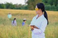Asian women researcher is monitoring the quality of rice in farm
