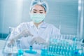 Asian women scientist with test tube making research in clinical laboratory.Science, chemistry, technology, biology and people con Royalty Free Stock Photo