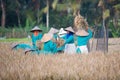 Asian women sifts rice