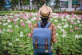 Asian women tourists backpack are sitting visit spider flower garden. during traveling in the holidays Royalty Free Stock Photo