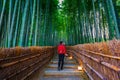 Asian women tourists visiting the bamboo forest in Kyoto Royalty Free Stock Photo
