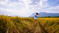Asian women travel Rice fields Golden yellow On the mountains in the holiday. happy and enjoying a beautiful nature. travelling in Royalty Free Stock Photo