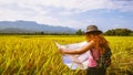 Asian women travel Rice fields Golden yellow On the mountains in the holiday. Travel with a map of Asian girls. Nature travel Royalty Free Stock Photo