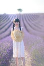 Asian women in white retro long dress standing in Provence lavender field in summer