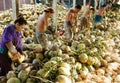 Asian worker, coconut, Vietnamese, Mekong Delta