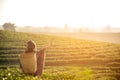 Asian worker farmer women were picking tea leaves for traditions in the sunrise morning at tea plantation nature. Royalty Free Stock Photo