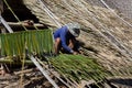 Asian worker is fixing thatched roof on top of the old rural house