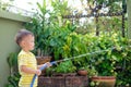 Asian 2 year old toddler boy child having fun watering the plants from hose spray in the garden at home Royalty Free Stock Photo