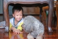 Asian 3 - 4 year old toddler boy child playing under table at home while smiling at his dog Royalty Free Stock Photo